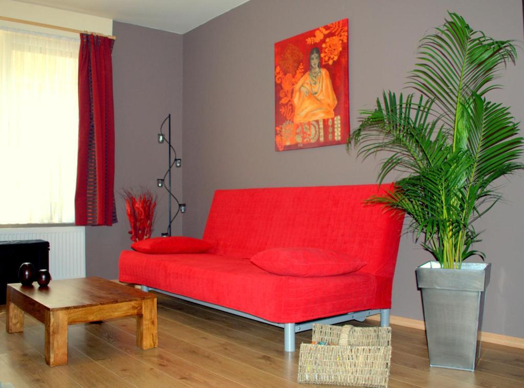 Boomhostel Cite Bruselas